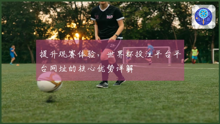 提升观赛体验，世界杯投注平台平台网址的核心优势详解