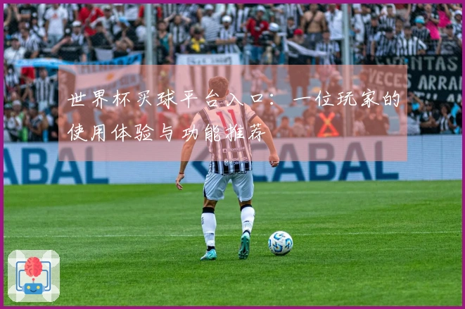 世界杯买球平台入口：一位玩家的使用体验与功能推荐