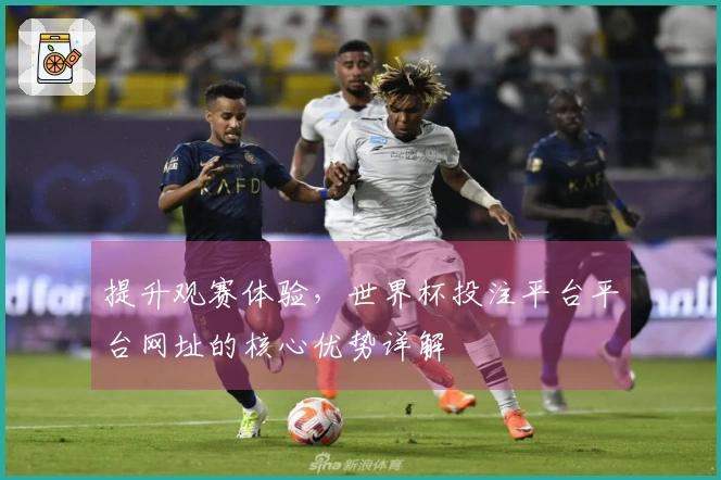提升观赛体验，世界杯投注平台平台网址的核心优势详解