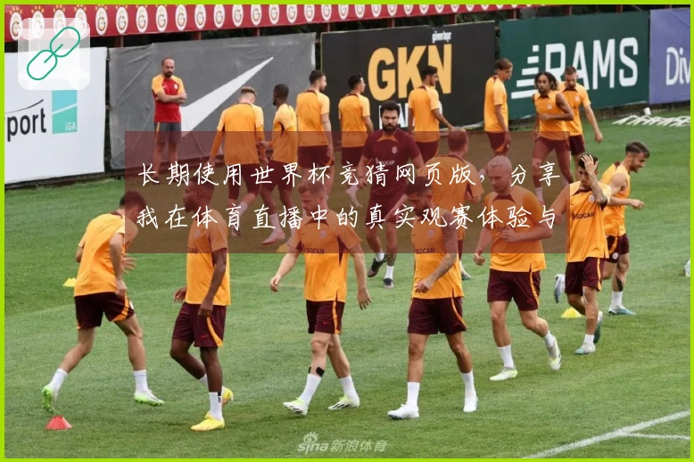 长期使用世界杯竞猜网页版，分享我在体育直播中的真实观赛体验与平台评价
