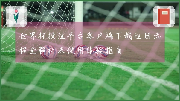 世界杯投注平台客户端下载注册流程全解析及使用体验指南