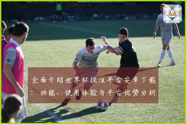 全面介绍世界杯投注平台安卓下载：功能、使用体验与平台优势分析