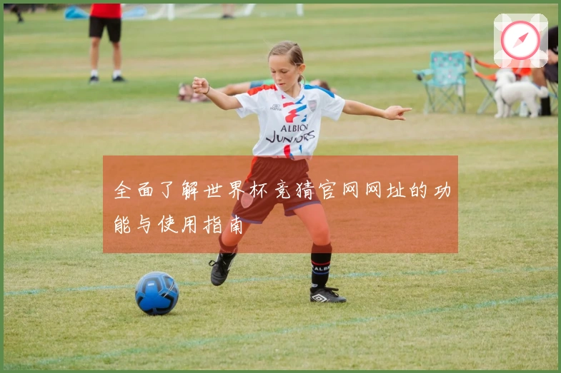 全面了解世界杯竞猜官网网址的功能与使用指南