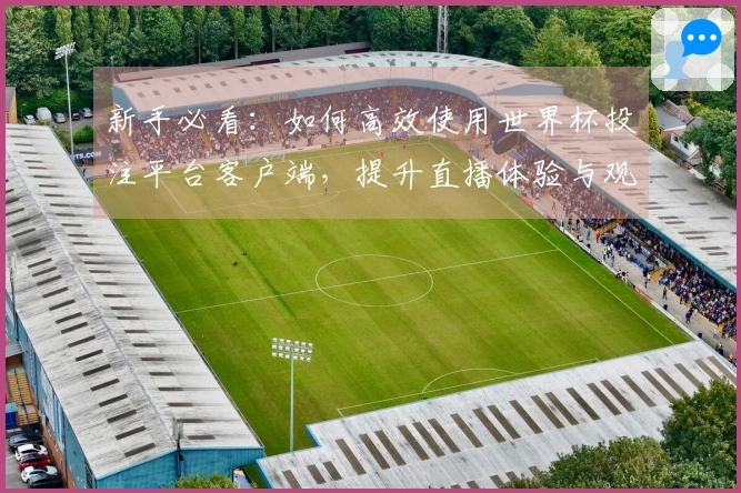 新手必看：如何高效使用世界杯投注平台客户端，提升直播体验与观看乐趣