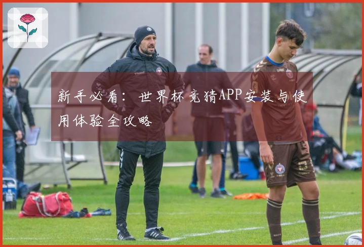 新手必看：世界杯竞猜APP安装与使用体验全攻略