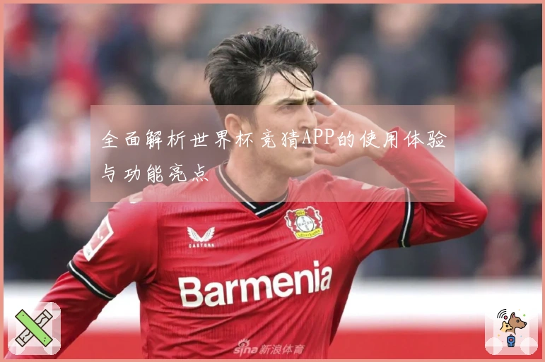 全面解析世界杯竞猜APP的使用体验与功能亮点
