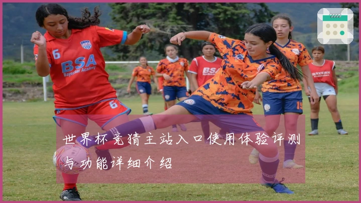 世界杯竞猜主站入口使用体验评测与功能详细介绍