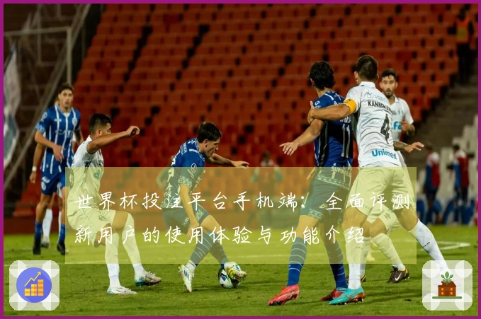 世界杯投注平台手机端：全面评测新用户的使用体验与功能介绍