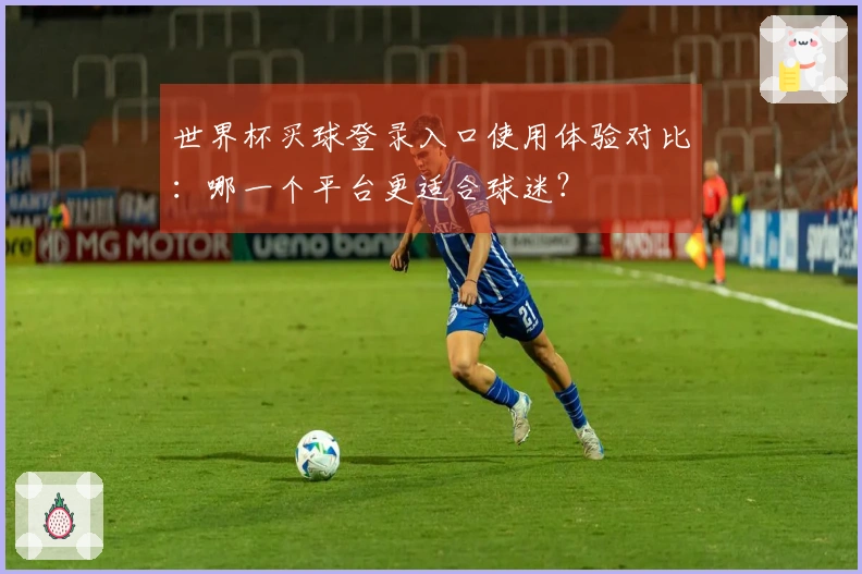 世界杯买球登录入口使用体验对比：哪一个平台更适合球迷？