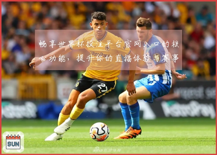畅享世界杯投注平台官网入口的核心功能，提升你的直播体验与赛事互动