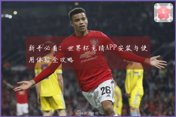 新手必看：世界杯竞猜APP安装与使用体验全攻略