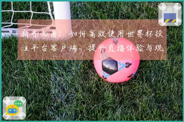 新手必看：如何高效使用世界杯投注平台客户端，提升直播体验与观看乐趣