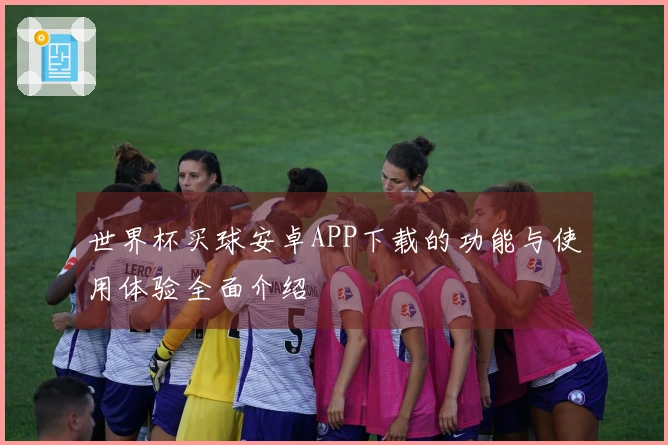 世界杯买球安卓APP下载的功能与使用体验全面介绍