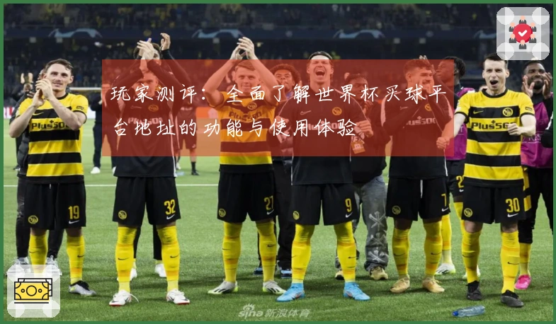 玩家测评：全面了解世界杯买球平台地址的功能与使用体验